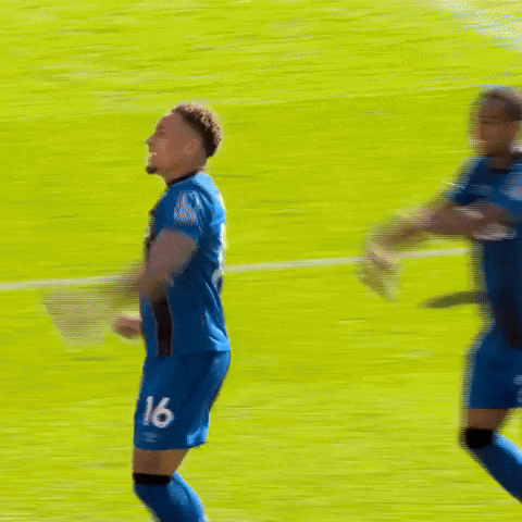 Happy Premier League GIF by AFC Bournemouth