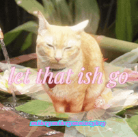 Let It Go Poop GIF