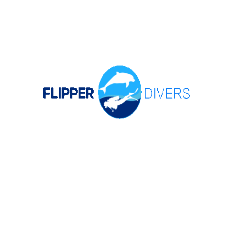 Dive Diving Sticker by Flipper