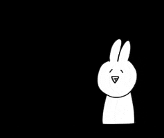 Bunny GIF