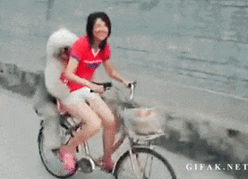 Herding Cats GIFs - Find & Share on GIPHY