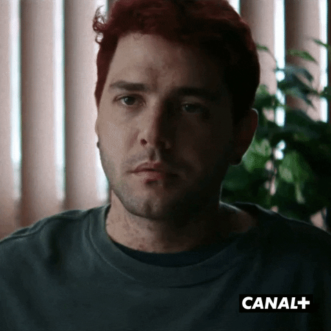 Canal Plus Serie GIF by CANAL+