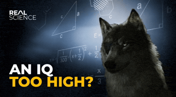 Metal Gear Dog GIF