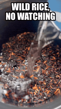 Wild Rice, No Watching | Rice Robot
