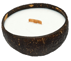 Sticker by Tropikalia.cz