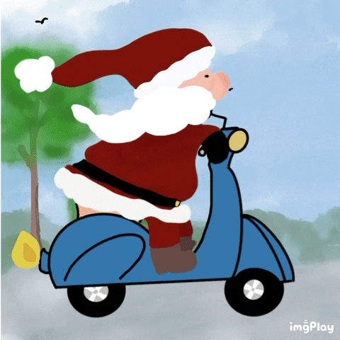 Daluha fun bike merry christmas weihnachten GIF