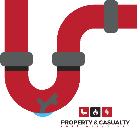 Property & Casualty Loss Adjusters Sticker