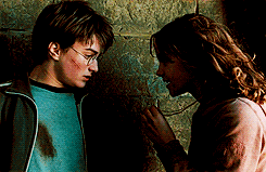  yes harry potter hermione granger lessons time travel GIF