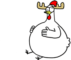 Christmas Chicken GIF by happydog