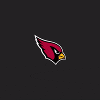Budda Baker Tackle GIF by Arizona Cardinals