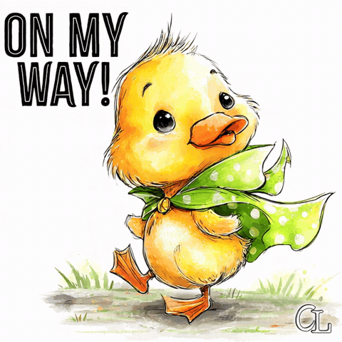 Coming Over Lets Go GIF