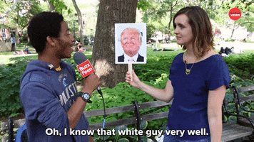 Voting Donald Trump GIF by BuzzFeed