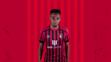 Celebrating Bring It GIF by AFC Bournemouth
