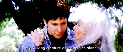 every living creature on earth dies 1671781 556 227162. every living creature on earth dies 1671781 556 227162.
