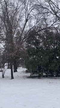 'Fat Flakes': Snowfall Reduces Visibility in Green Bay Area