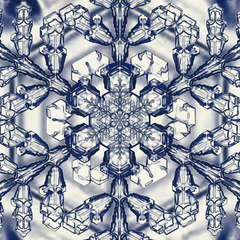 Snow Winter GIF by Feliks Tomasz Konczakowski