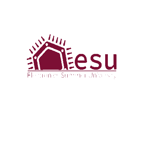 Liga ETc Sticker