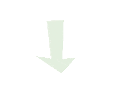 Lemplume Sticker by Studio L'Emplumé