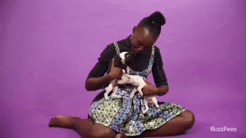 Lupita Nyongo Puppy GIF by BuzzFeed