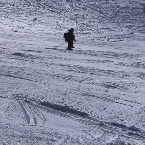 Lieblingsfettsack GIF