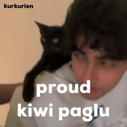 Kiwi Outstation GIF