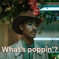 Whats Up Reaction GIF by Klarna