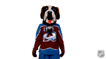 Colorado Avalanche Whatever GIF by NHL