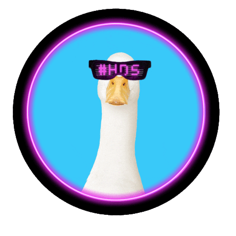 Happy Summer Sticker by Aflac Duck