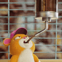 Coffee Time Hamster GIF by Grind