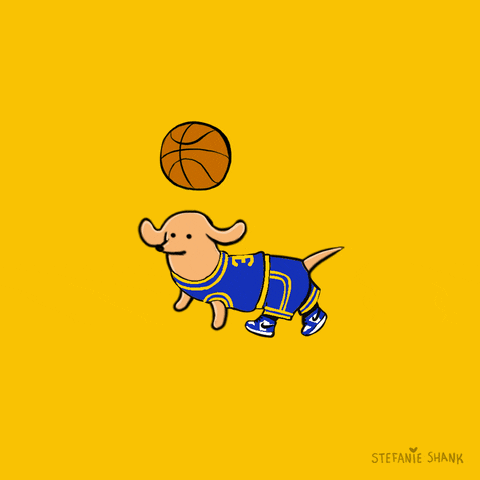 Golden State Warriors Dog GIF by Stefanie Shank