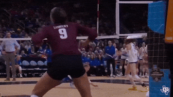 Texas Am Volleyball GIF by Texas A&M Athletics