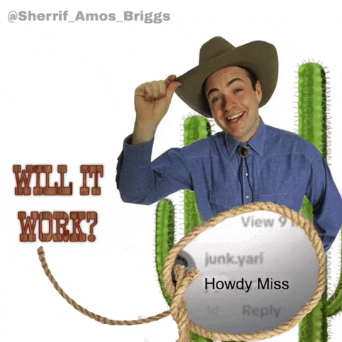 Cowboy Airball GIF