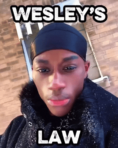 Mog GIF by Dawn To Fitness