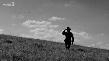 Film Cinema GIF by MUBI
