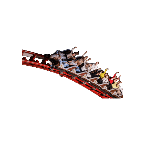Fun Rollercoaster Sticker by Mandoria