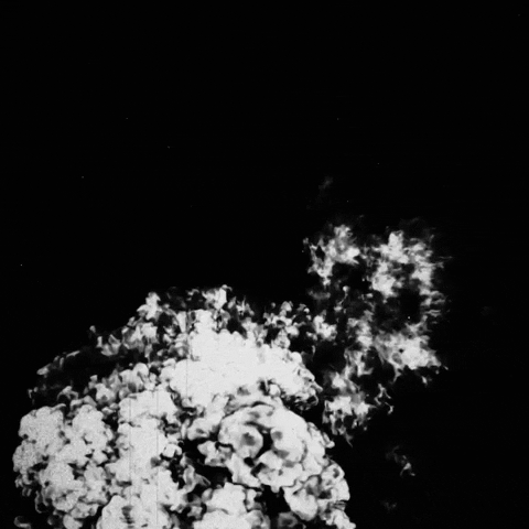 Bloom GIF