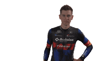 Wink Duckie Sticker by Baloise Trek Lions