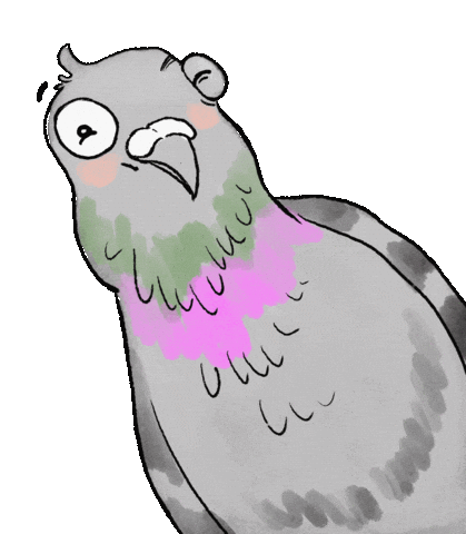 Wink Pigeon Sticker