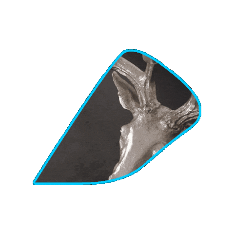 Animated Sticker