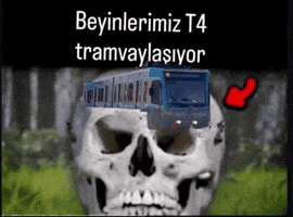 indietürk GIF
