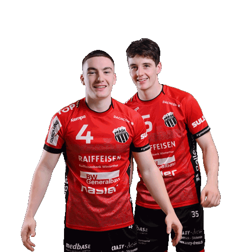 Pfadi Winterthur Handball Sticker