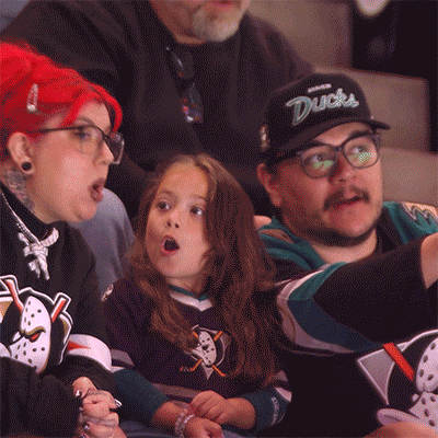 Ducks Fan GIF by Anaheim Ducks