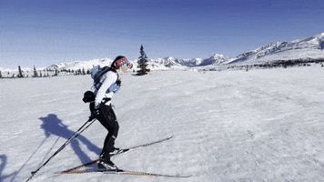 Nature GIF