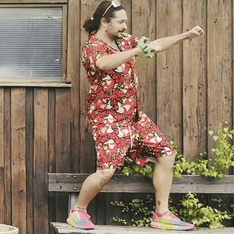 Goose GIF