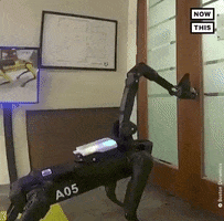 Come In Boston Dynamics GIF by NowThis