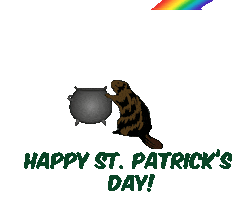 St Patricks Day Sticker by CampTamakwa