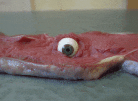 Video gif. A single eyeball rolls back and forth as if looking around. The eyeball creepily peeks out from inside a raw steak on a table. 