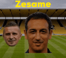 Zesame GIF