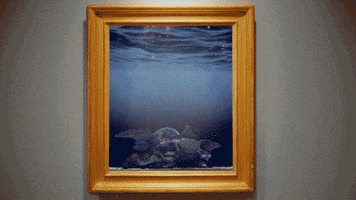 Coral Reef Education GIF by The Hydrous