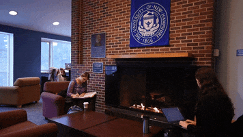 studying new hampshire GIF by University of New Hampshire